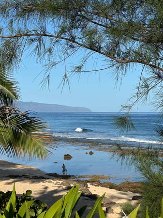 $2,950 / 1br - 1200ft2 - BEACH FRONT LARGE APARTMENT (HALEIWA - ROCKY POINT)63939660503043120