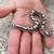 Female Sand Boa 3 thumbnail