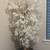 White leaf tree 2 thumbnail