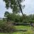 Antonio Tree Service Omaha 24 thumbnail