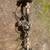 94 ford ranger 4x4 front and rear axle great shape 1 thumbnail
