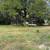 Real Estate:  Land for sale 7 thumbnail