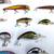 22 Crank Bait Fishing Lures 6 thumbnail