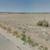 Vacant Lot for Sale - 46121 70th St W 2 thumbnail