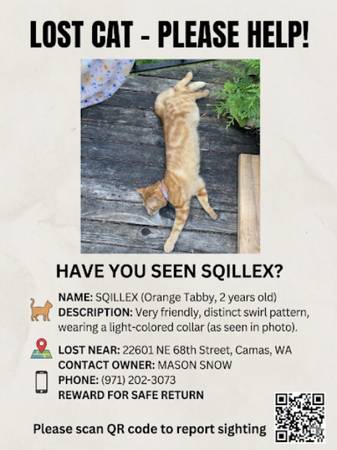 LOST CAT (Vancouver)