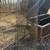 Smoker 6 thumbnail