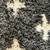 Juni Axel Lattice Dark Grey Thick Nordic Shag Area Rug 7' 10" x 9' 10" 6 thumbnail