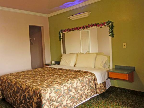 1 BD ROOM STUDIO for $1000 1