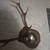 Vintage Sitka 9 point 3 thumbnail