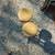 Mid Century Stout rotating stools 2 thumbnail