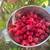 U~ pick raspberries 1 thumbnail