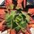 PLANT SALE 5 thumbnail