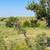 320± Acres Grass Pasture, Cropland, Ponds & More! 18 thumbnail