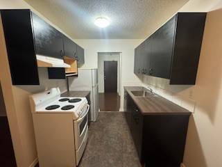 Large Renovated 2 Bedroom 1 Bath Apartment in Coquitlam 1