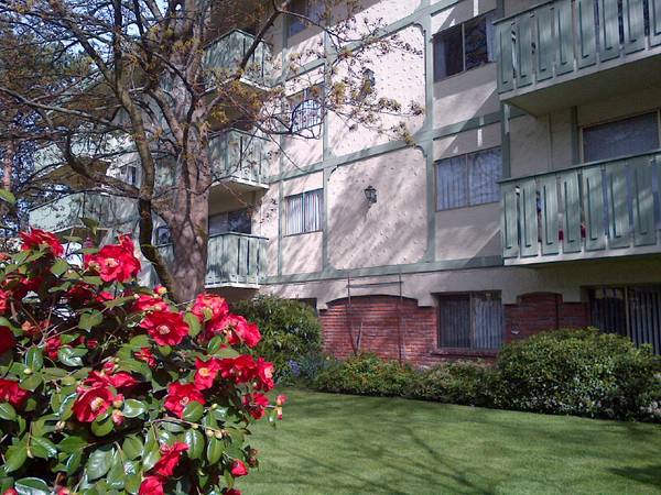 Oak Bay one bedroom apartment - INCLUDES heat, hot water, electricity! 1