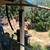 5 Foot old school school sickle & Bush cutter 2 thumbnail