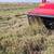 Montgomery Farms 10% grass rounds - 2024 2 thumbnail