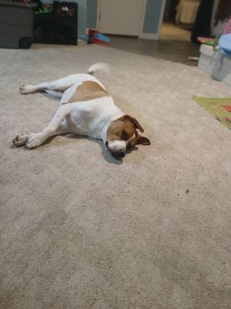 Pit dane mix (Chocowinity)64210261778947121