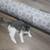 Kitten 2 thumbnail