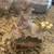 Estate & Fall Cleaning Sale Saturday September 20 5 thumbnail