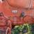 Allis Chalmers 1 thumbnail