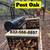 Post oak Firewood🔥 5 thumbnail