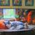 TCL television 6 thumbnail
