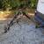 Curt 5-bike rack 5 thumbnail
