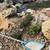 Landscaping services (next level quality) - Many other services also 16 thumbnail