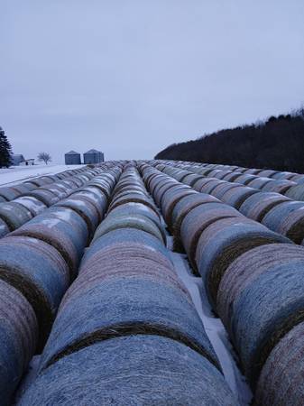 2025 Oats Hay Netwrap 1