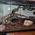 Yellow Ball Python & tank w/ALL supplies Plus 5 thumbnail