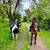 Beginner Safe, Bombproof Clydesdale Horse for Sale 23 thumbnail