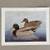 REDUCED-BEAUTIFUL Wood Frame with Widgeon Drake Color Print 5 thumbnail
