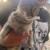 Free girl Cat w/ shots up to date and spade 3 thumbnail