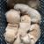 Goldendoodle 5 thumbnail