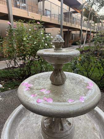 $1,950 / 2br - 1250ft2 - 5-Month Lease Oct 2025-Feb 2026, 2BR/2BA in West Davis (West Davis)63919496498947124