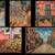 Local Artist available for commissions, original paintings 5 thumbnail