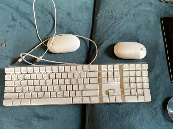 Apple  Wireless Mighty Mouse 1