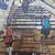 signed European Oil on Canvas 6 thumbnail