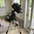 Celestron Advanced VX C8 Telescope + Accessories 6 thumbnail