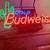 Rare Cold Budweiser Cactus Neon Sign 2 thumbnail