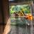 Sun conures 1 thumbnail