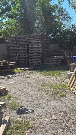 Free pallets 1