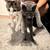 Cats and Kittens 5 thumbnail
