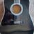 ESTEBAN American Legacy Acoustic Electric AL-100 Black Beauty. Full 41 3 thumbnail