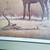 COLT in PASTURE / Curosity Photographer Signed. 3 thumbnail