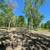 Land for sale 14.86 Acres approx. Somerville, TX 77879 8 thumbnail