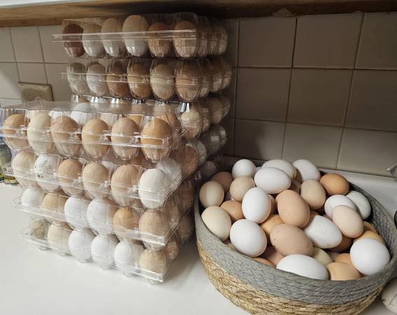 Farm Fresh Eggs 1