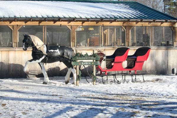 Winter Fun: Horse-Drawn Rides w/Hot Cocoa and S'mores at the Campfire! 1