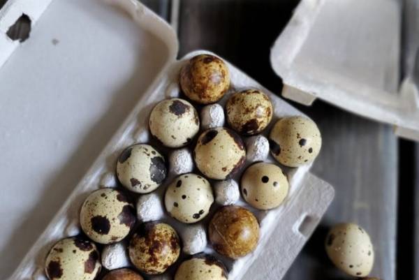 Quail eggs 1